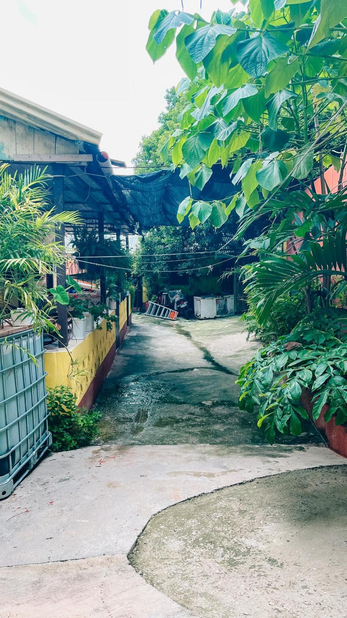 Zazil Ha Hostel 埃尔莱马特 外观 照片