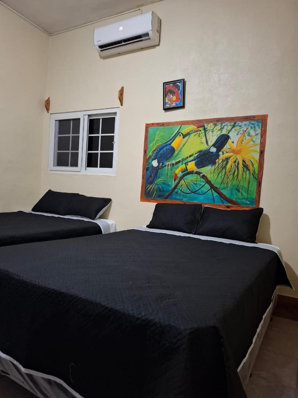 Zazil Ha Hostel 埃尔莱马特 外观 照片